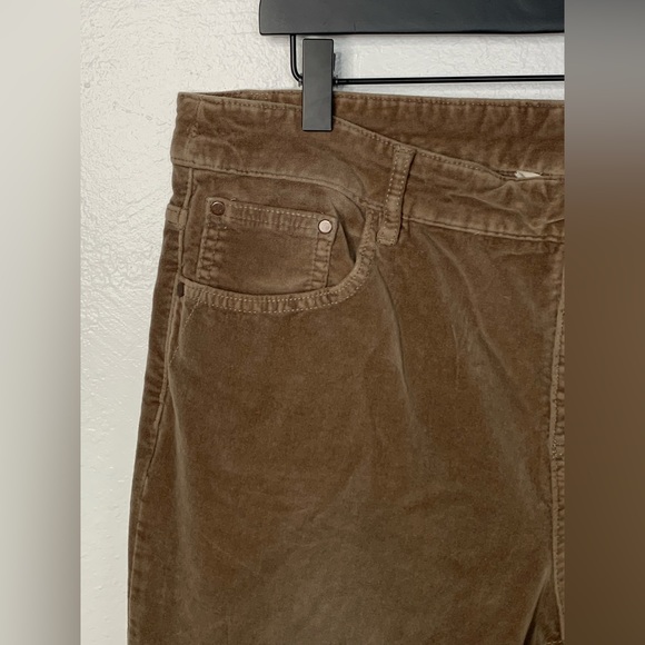 Soft Surroundings Velvet Pants - Picture 9 of 9